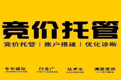 SEM推广代运营公司：实战案例解析